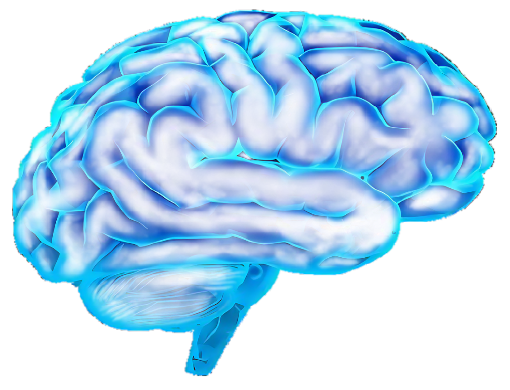 科学家发现预测抗抑郁药疗效脑电生物标记物